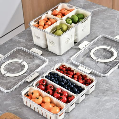 2Pack Divided Veggie Tray with Lid and Handle 4 Compartment Serving Tray with Dividers Portable Travel Snack Storage Containers Stackable Snackle Box Charcuterie Container for Fruit,Vegetable,Salad - size: 2 Pack-4 Compartment