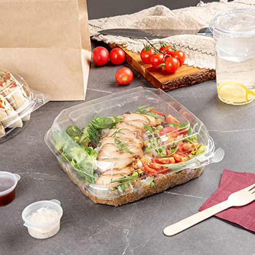 Restaurantware Thermo Tek 33.8 Ounce Clamshell Containers 100 Anti-Fog To Go Food Containers - Freezable Square Clear Plastic Food Packaging Containers Disposable - size: 39 oz