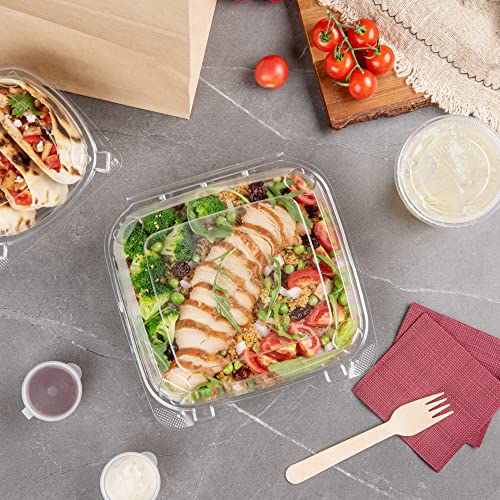 Restaurantware Thermo Tek 33.8 Ounce Clamshell Containers 100 Anti-Fog To Go Food Containers - Freezable Square Clear Plastic Food Packaging Containers Disposable - size: 39 oz