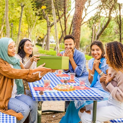 3 Pcs Set Fitted Picnic Table Cover with Bench Covers Vinyl Camping Picnic Table Cloth Flannel Backing for 6ft Tables Camping Outdoor (Blue Checked, 30 x 72 Inches) - color: Blue and White Plaid