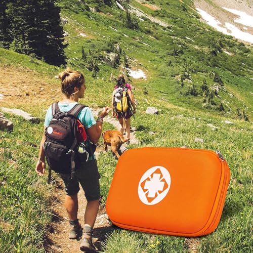 276PCS Mini Car First Aid Kit Travel Size for Business Trips, Compact First Aid Emergencies Kit Supplies for Rv Hiking Rode Trips Home Essentials, Orange AMORNING - style: Orange-276Pcs