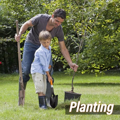 Small Garden Shovel Mini Kids Digging Shovel with Overall Length 28 inches Shovel for Digging, Beach Shovels. Gardening Tools with D-Handel