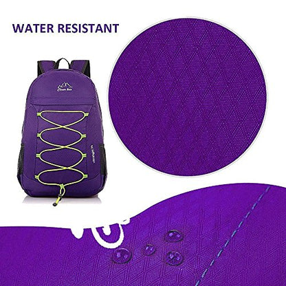 Outdoor Water Resistant Hiking Backpack - color: Purple