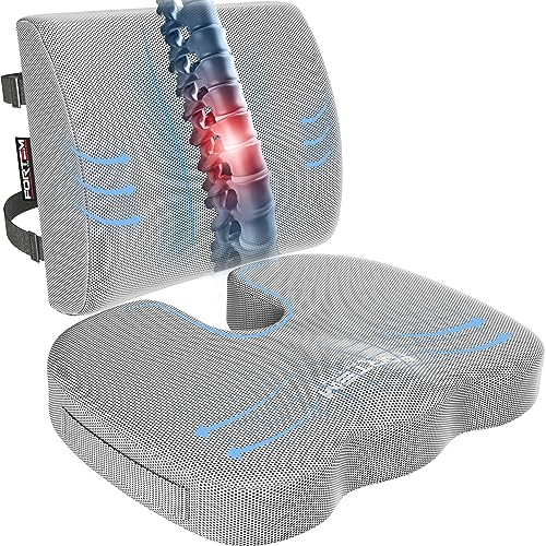 FORTEM Seat Cushion, Office Chair Cushion, Lumbar Support Pillow for Office Chair, Memory Foam Car Seat Cushions, Sciatica Coccyx Tailbone Pain Relief, Cushions for Back Support, Washable, Non Slip - color: Grey Mesh, size: Large