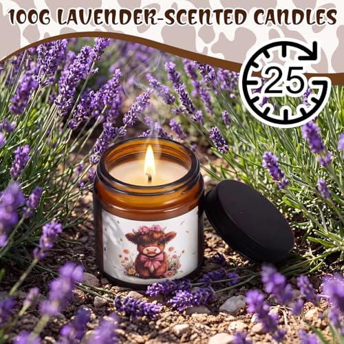 Honeydak Highland Cow Gifts Set for Women Highland Cow Stuff Themed Gifts Include Box Makeup Bag Socks Keychain Mug Stickers Scented Candle for Lover Birthday - style: Highland Cow